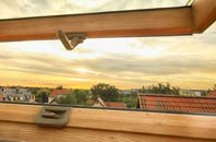 rated Pentre Bont roof window companies